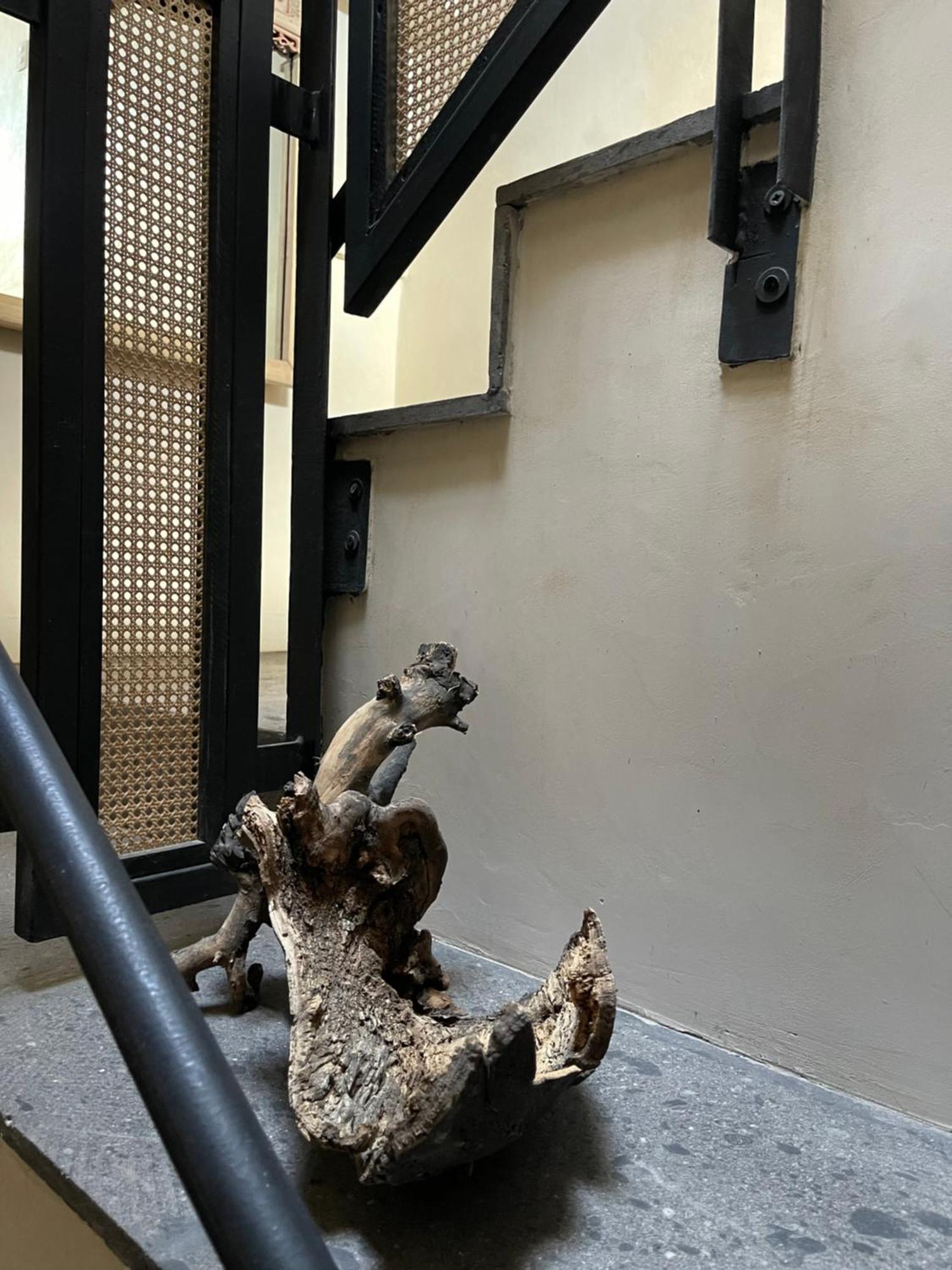 Casa Realm Hotel Querétaro Eksteriør billede